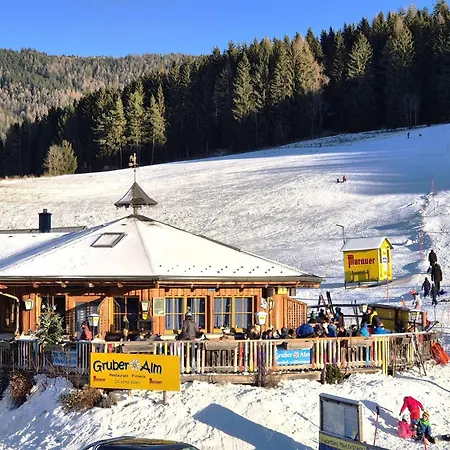 Almchalet Alpenglueck Sankt Lambrecht
