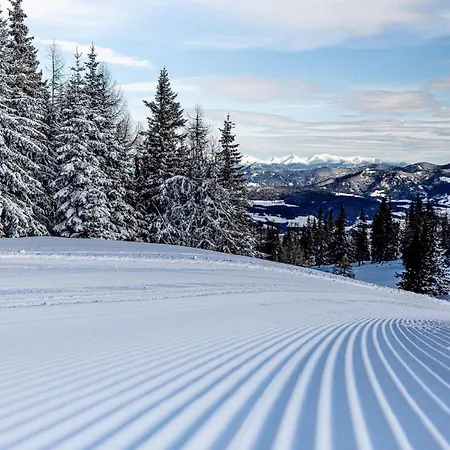 Almchalet Alpenglueck 別荘 *